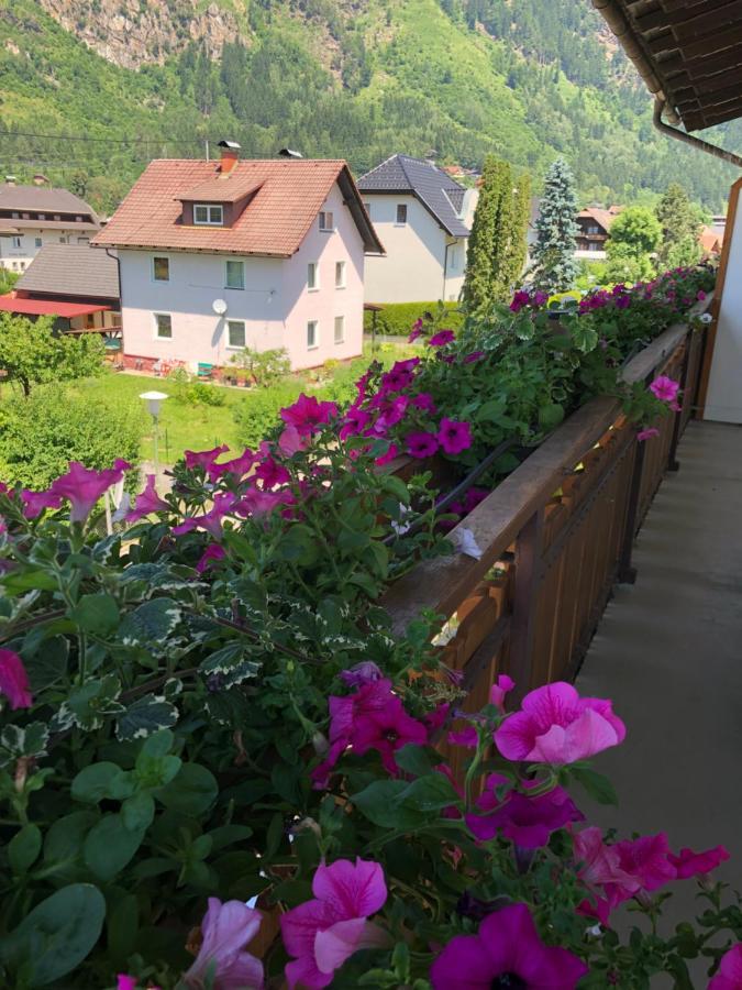 Haus Kaernten デーブリアッハ エクステリア 写真